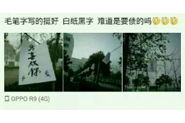 宁波为什么选择专业追讨公司来处理您的债务纠纷？